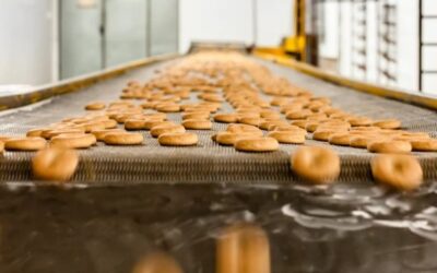 Can You Integrate a Superior Motor into Your Existing Food and Beverage Production Line?