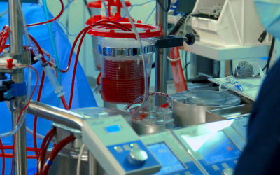 Motors for Centrifugal Pumps in the Medical Sector